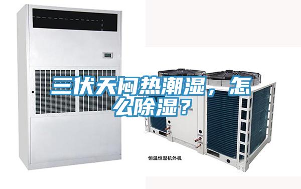 三伏天悶熱潮濕，怎么除濕？