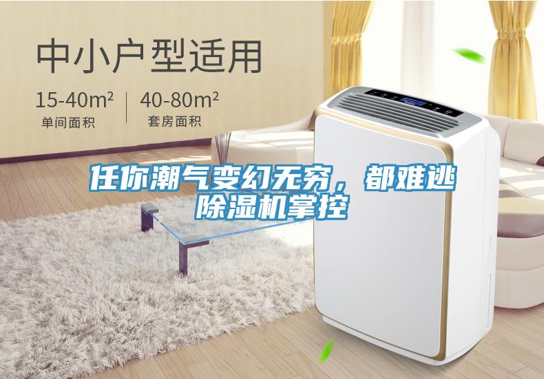 任你潮氣變幻無窮，都難逃除濕機掌控