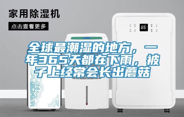 全球最潮濕的地方，一年365天都在下雨，被子上經(jīng)常會長出蘑菇