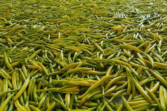 無硫金針菜烘干如何保持品相？不發黑？_除濕機廠家