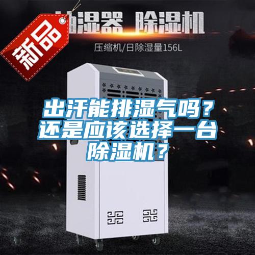 出汗能排濕氣嗎？還是應該選擇一臺除濕機？