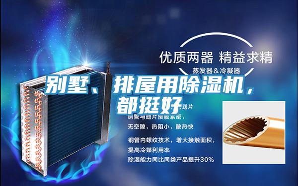 別墅、排屋用除濕機，都挺好