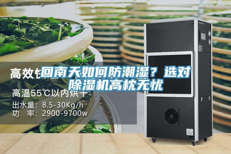 回南天如何防潮濕？選對除濕機高枕無憂