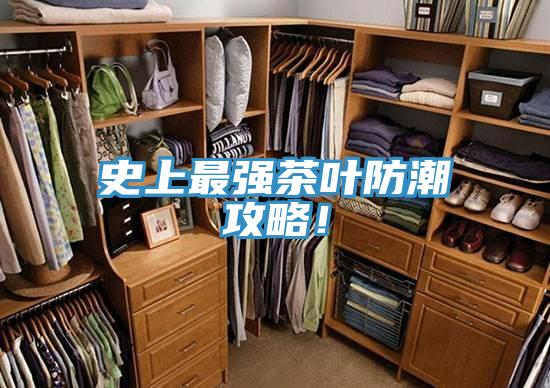 史上最強茶葉防潮攻略!