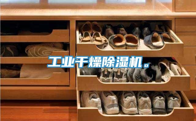 工業干燥除濕機。