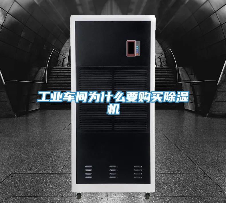工業(yè)車間為什么要購買除濕機