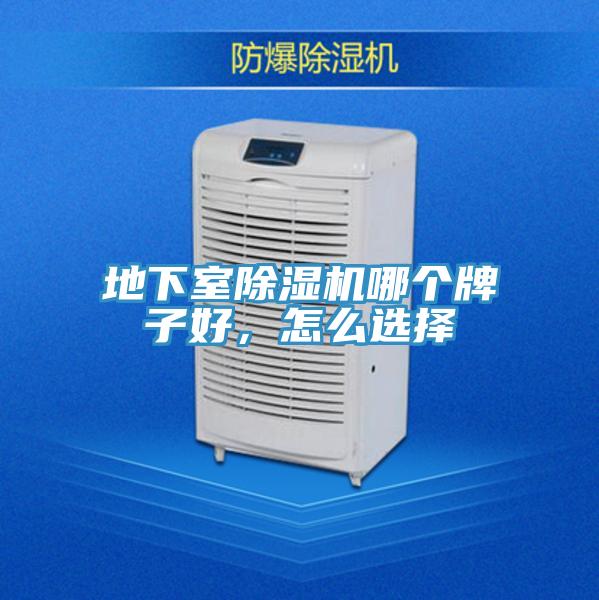 地下室除濕機哪個牌子好，怎么選擇