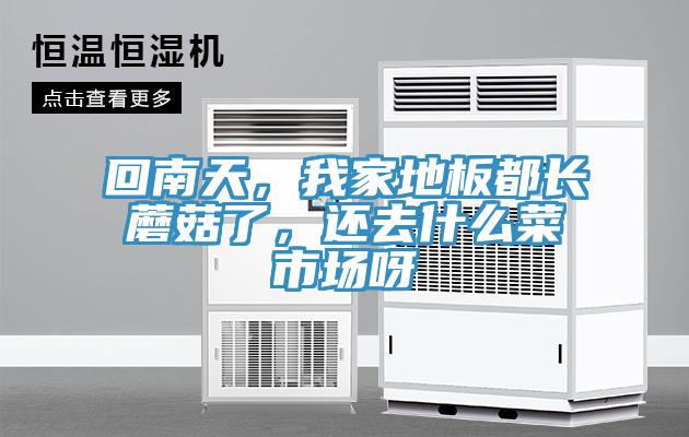 回南天,我家地板都長蘑菇了,還去什么菜市場(chǎng)呀