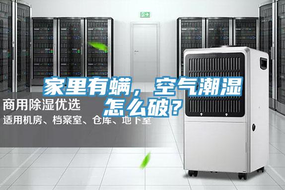 家里有螨,空氣潮濕怎么破?