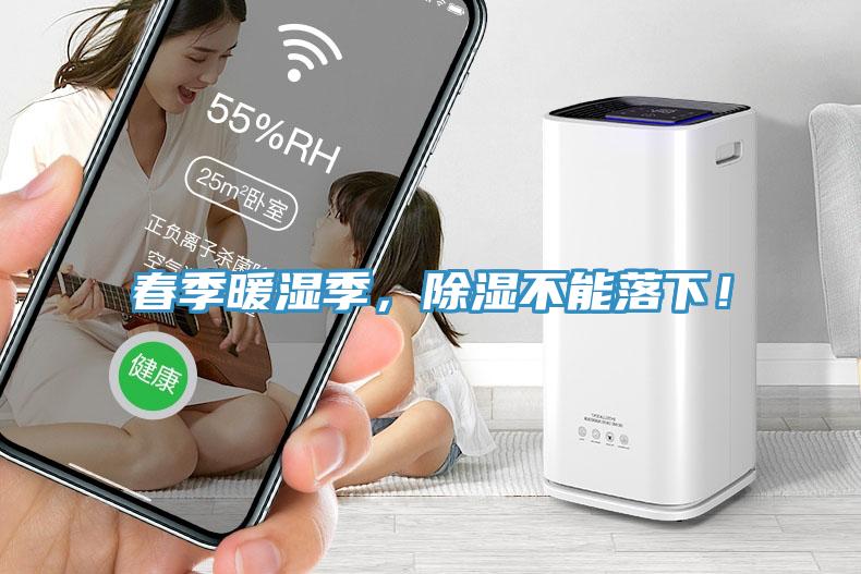 春季暖濕季,除濕不能落下!