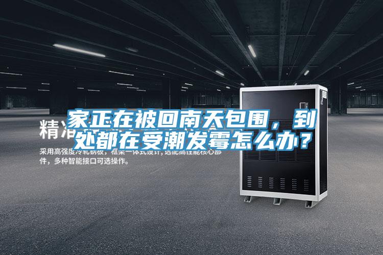 家正在被回南天包圍,到處都在受潮發(fā)霉怎么辦?