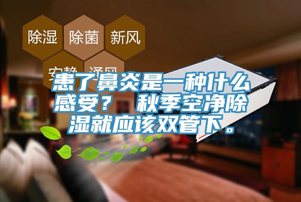 患了鼻炎是一種什么感受？ 秋季空凈除濕就應該雙管下。