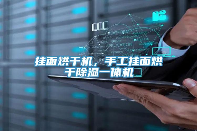 掛面烘干機(jī),手工掛面烘干除濕一體機(jī)