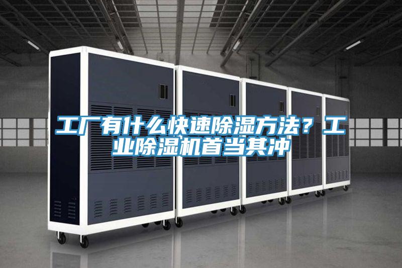 工廠有什么快速除濕方法？工業除濕機首當其沖