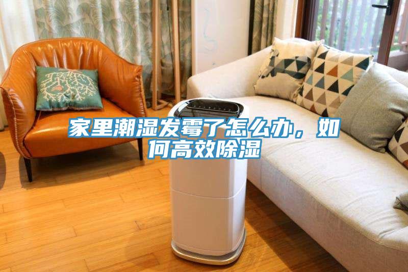 家里潮濕發(fā)霉了怎么辦，如何高效除濕