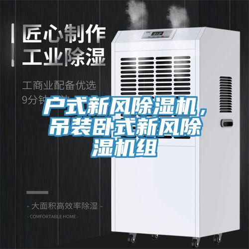 戶式新風除濕機,吊裝臥式新風除濕機組