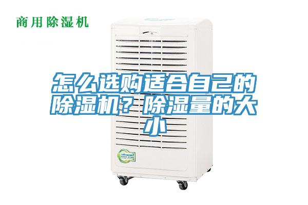怎么選購(gòu)適合自己的除濕機(jī)?除濕量的大小