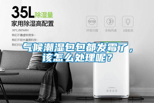 氣候潮濕包包都發霉了,該怎么處理呢?