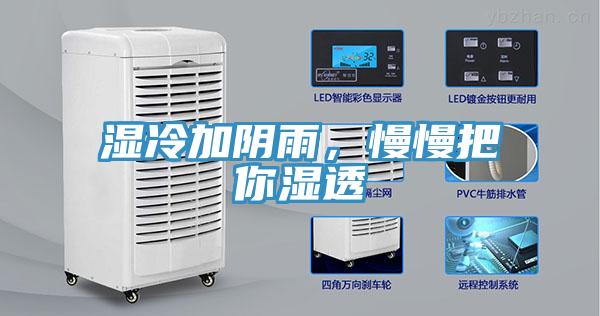 濕冷加陰雨，慢慢把你濕透