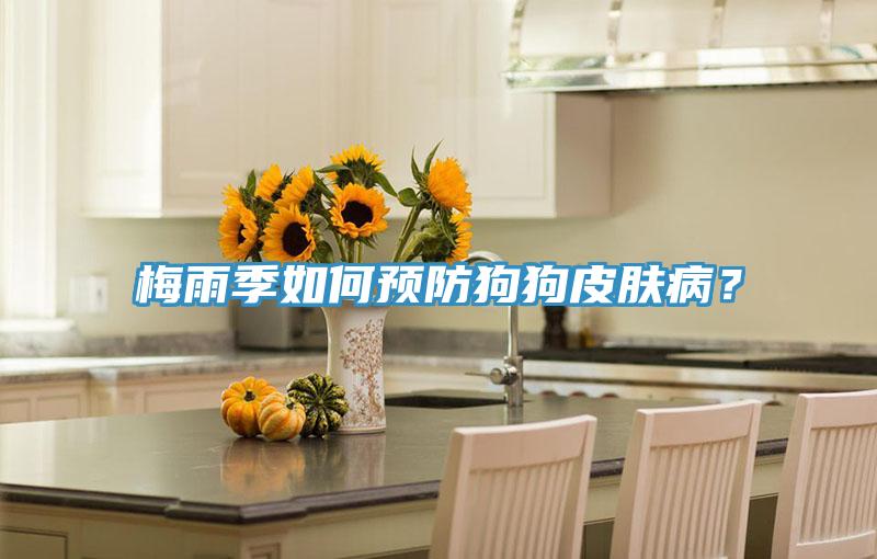 梅雨季如何預(yù)防狗狗皮膚病?