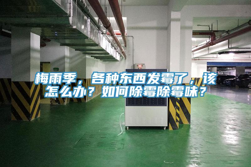 梅雨季，各種東西發(fā)霉了，該怎么辦？如何除霉除霉味？