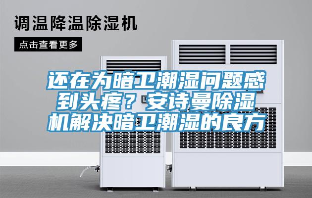 還在為暗衛(wèi)潮濕問(wèn)題感到頭疼？安詩(shī)曼除濕機(jī)解決暗衛(wèi)潮濕的良方