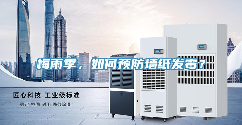 梅雨季，如何預防墻紙發霉？