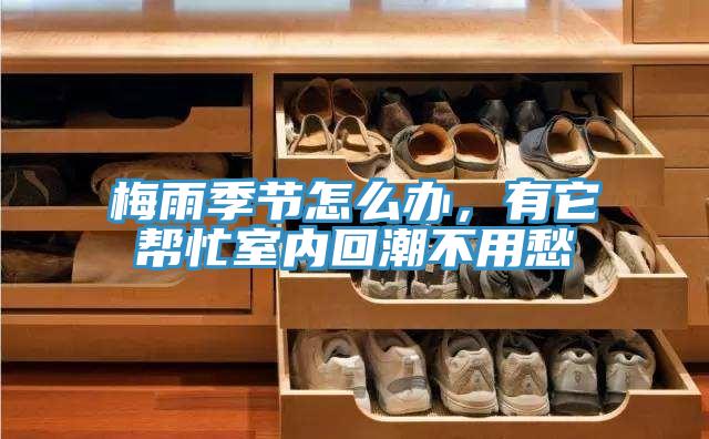 梅雨季節怎么辦,有它幫忙室內回潮不用愁