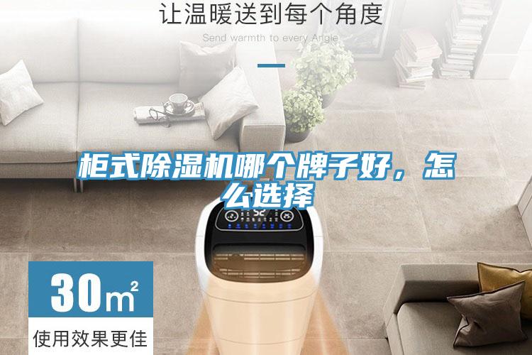 柜式除濕機(jī)哪個(gè)牌子好,怎么選擇