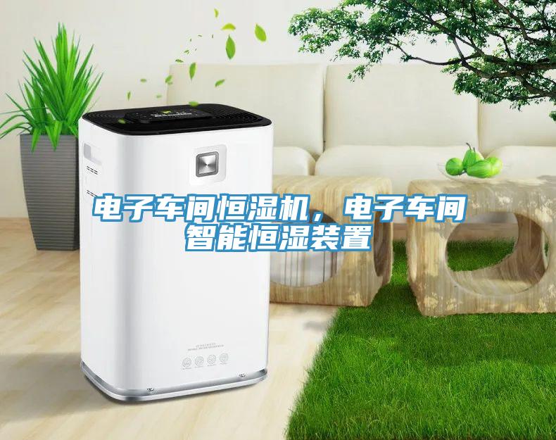 電子車間恒濕機(jī),電子車間智能恒濕裝置