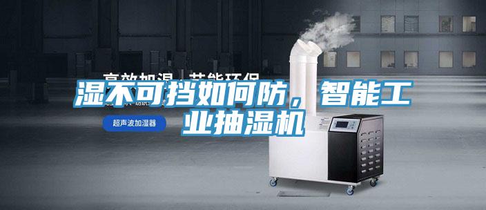 濕不可擋如何防,智能工業(yè)抽濕機(jī)