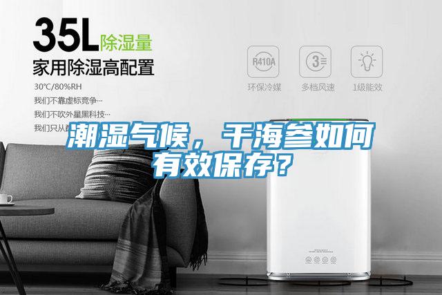 潮濕氣候,干海參如何有效保存?