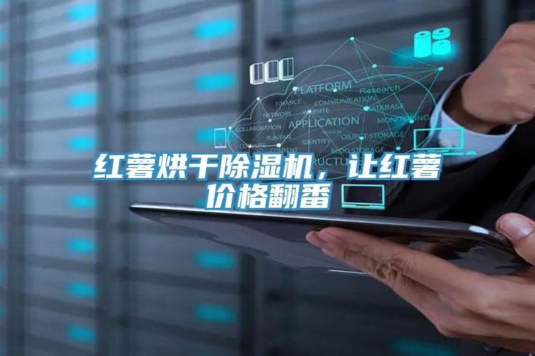 紅薯烘干除濕機(jī)，讓紅薯價(jià)格翻番