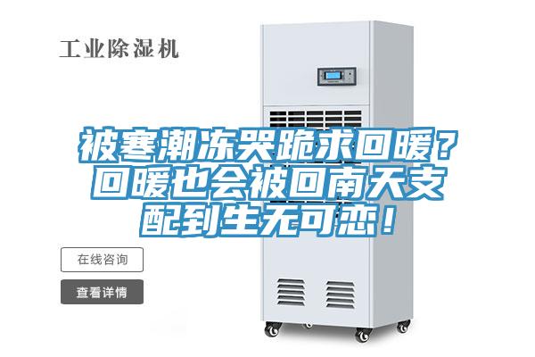 被寒潮凍哭跪求回暖?回暖也會(huì)被回南天支配到生無(wú)可戀!