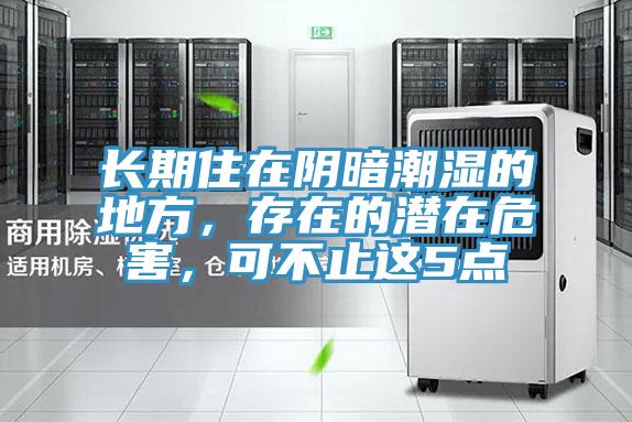 長期住在陰暗潮濕的地方，存在的潛在危害，可不止這5點