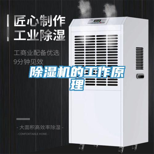 除濕機的工作原理