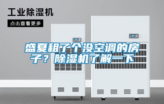 盛夏租了個沒空調的房子?除濕機了解一下