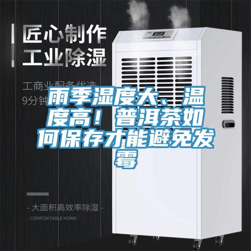 雨季濕度大、溫度高！普洱茶如何保存才能避免發霉