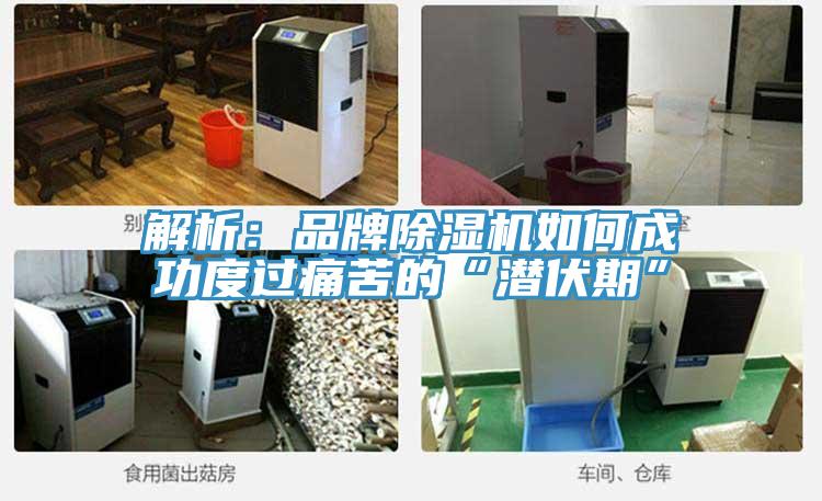 解析:品牌除濕機如何成功度過痛苦的“潛伏期”