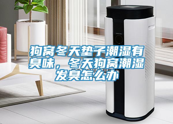 狗窩冬天墊子潮濕有臭味,冬天狗窩潮濕發臭怎么辦