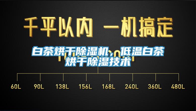 白茶烘干除濕機,低溫白茶烘干除濕技術