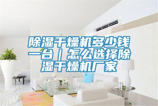 除濕干燥機(jī)多少錢一臺|怎么選擇除濕干燥機(jī)廠家