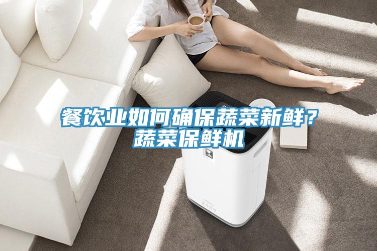 餐飲業如何確保蔬菜新鮮？蔬菜保鮮機