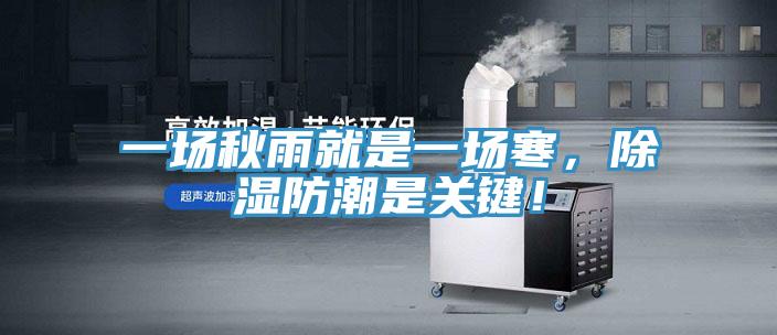 一場秋雨就是一場寒，除濕防潮是關鍵！