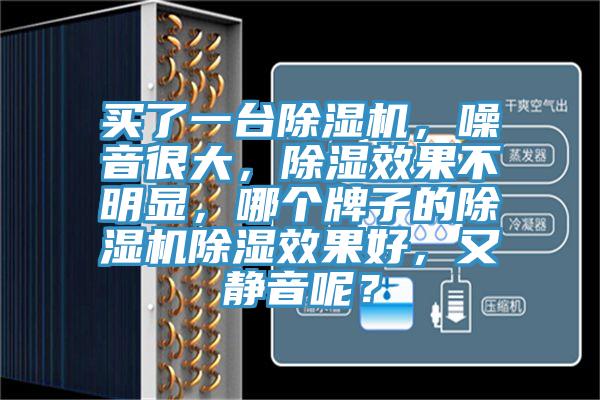 買了一臺除濕機，噪音很大，除濕效果不明顯，哪個牌子的除濕機除濕效果好，又靜音呢？