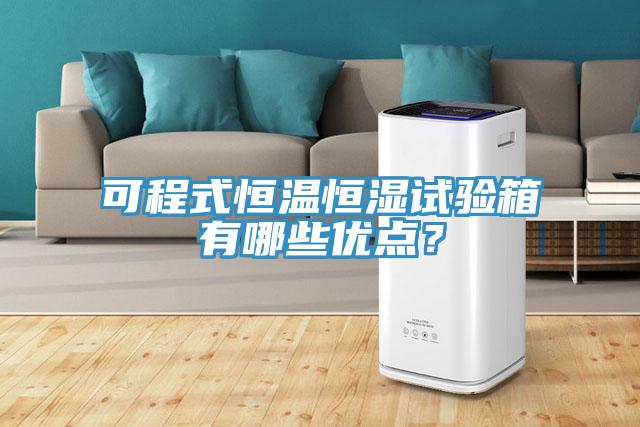 可程式恒溫恒濕試驗(yàn)箱有哪些優(yōu)點(diǎn)？
