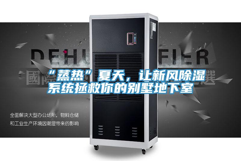 “蒸熱”夏天，讓新風除濕系統(tǒng)拯救你的別墅地下室