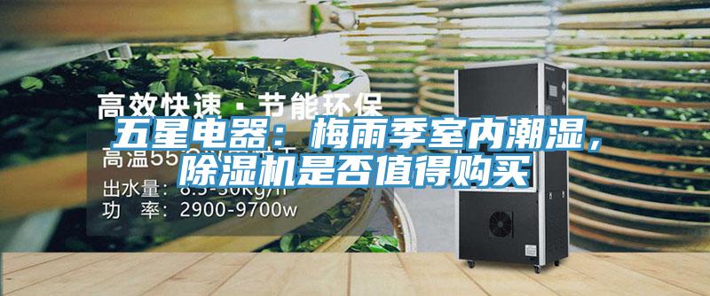 五星電器：梅雨季室內(nèi)潮濕，除濕機(jī)是否值得購買