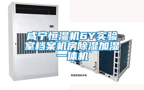 咸寧恒濕機(jī)6Y實(shí)驗(yàn)室檔案機(jī)房除濕加濕一體機(jī)