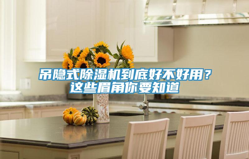 吊隱式除濕機到底好不好用？這些眉角你要知道